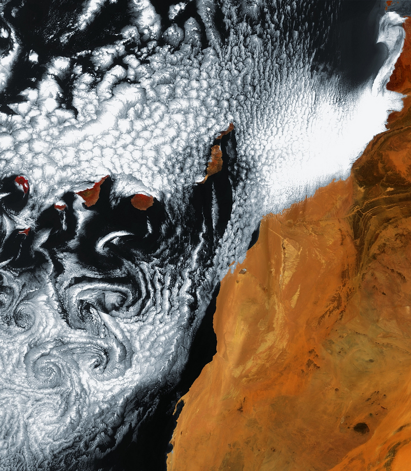 Illustration for article titled The Beautiful, Deadly Vortex That Tears Huge Buildings Apart